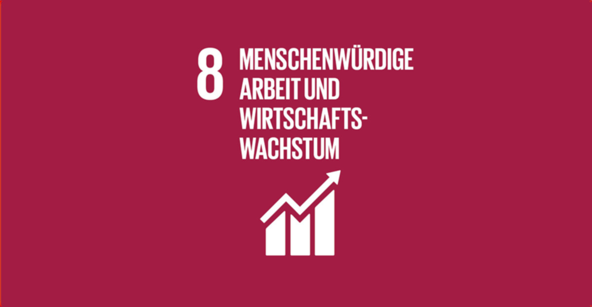 Social Development Goal menschenwürdige Arbeit und Wirtschaftswachstum