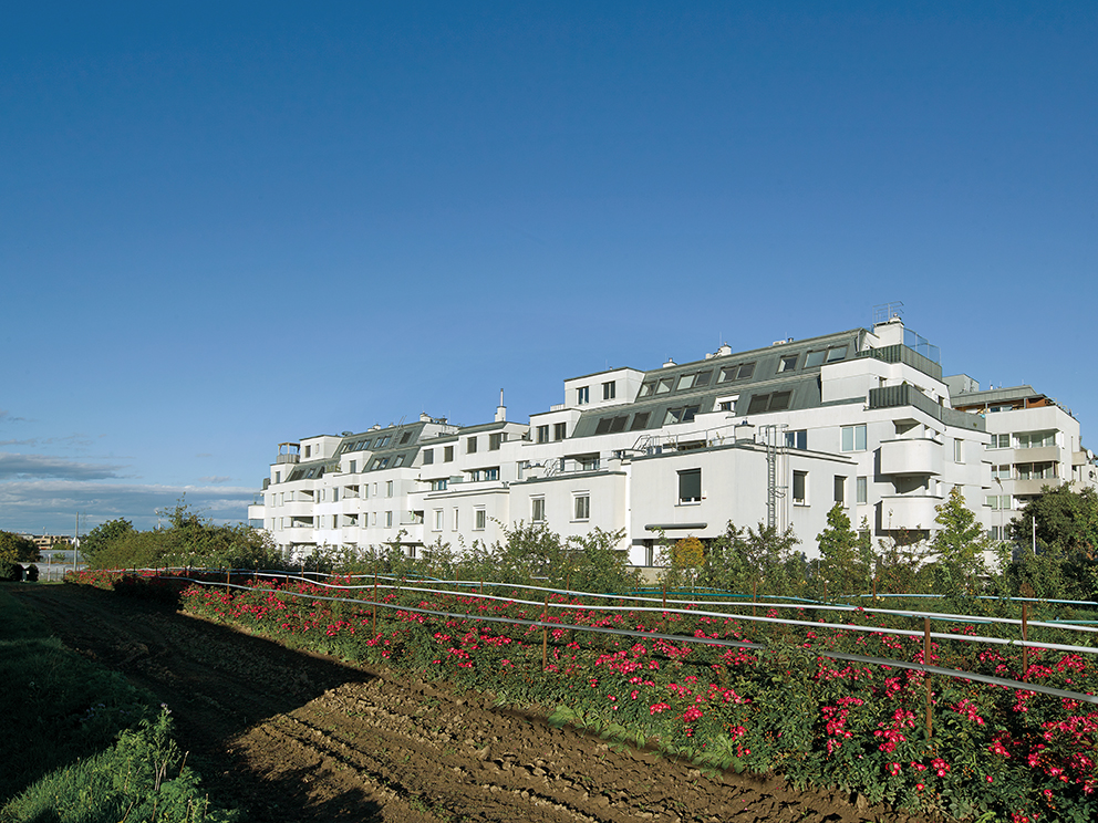 Rosengarten West 55 web.jpg